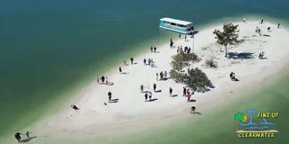 Clearwater Beach Dolphin and Island Sandbar Cruise