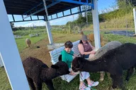 Hana Alpaca Farm Experience thumbnail 3