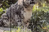 New York Central Park Zoo Tour with Hotel Pickup thumbnail 1