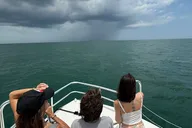 St. Augustine Dolphin and Nature Boat Excursion 90 min thumbnail 6