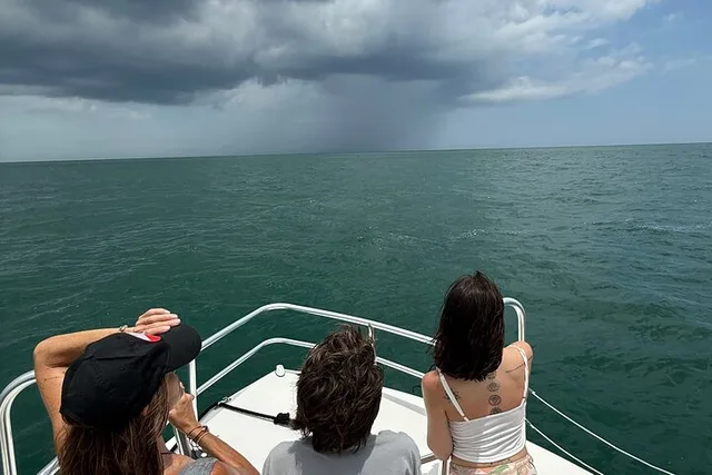 St. Augustine Dolphin and Nature Boat Excursion 90 min - Image 6