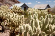 Las Vegas Eldorado Canyon Gold Mine Tour thumbnail 3