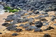 Oahu to Maui Road to Hana Day Trip thumbnail 6