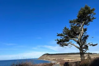 Island Trail and Beach Day