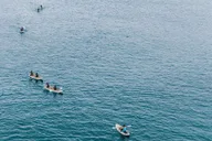 La Jolla Sea Cave Kayak Tour thumbnail 6