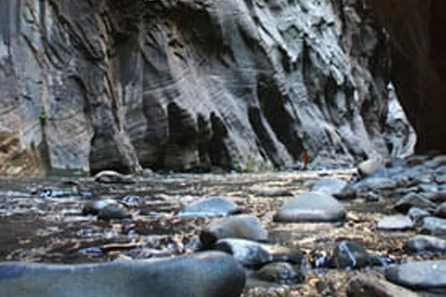 Zion National Park Narrows Tour - Image 4