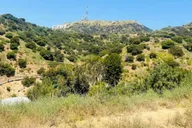 Los Angeles Hollywood Hills Horseback Ride thumbnail 2