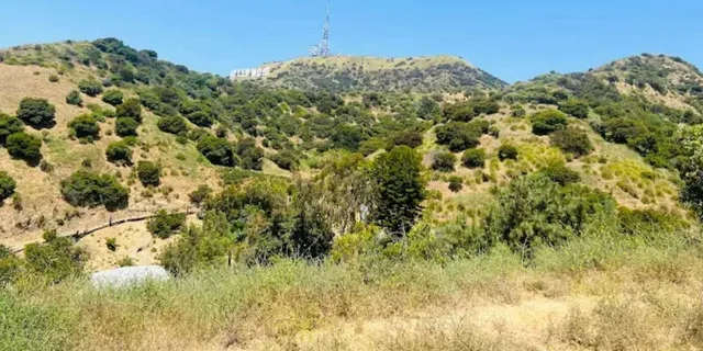 Los Angeles Hollywood Hills Horseback Ride - Image 2