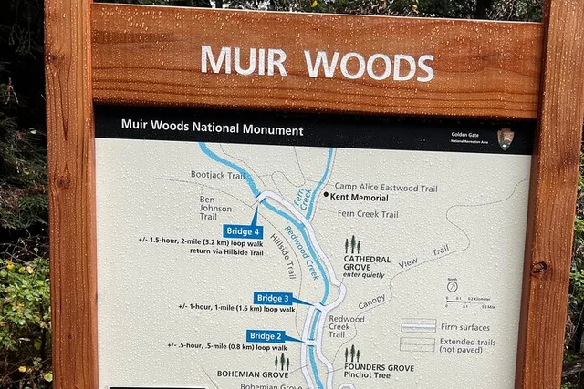 San Francisco Muir Woods and Sausalito Tour - Image 4
