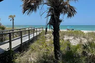Don Pedro Island Kayak Eco Tour thumbnail 5