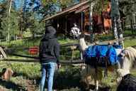 Rocky Mountains Llama Lunch Hike thumbnail 4