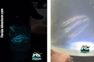 Cocoa Beach Clear Kayak Bioluminescence Tour 90 min thumbnail 3