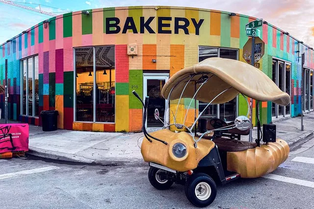Miami Art Car Tour in Wynwood 1 hr - Image 4
