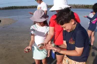 10,000 Islands Shelling Boat Tour thumbnail 2
