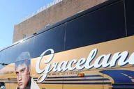 Memphis Elvis Birthplace Tour in Tupelo 8 hr thumbnail 2