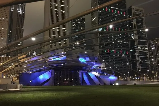 Chicago Private City Tour - Image 3