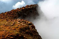 Denver Pikes Peak and Garden of the Gods Tour thumbnail 6
