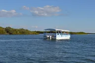 Indian River Lagoon Dolphin Boat Tour thumbnail 3