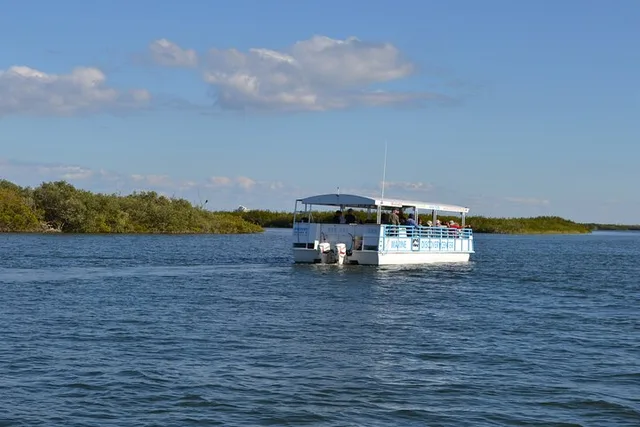 Indian River Lagoon Dolphin Boat Tour - Image 3