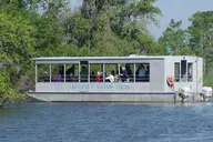 New Orleans Swamp Boat Tour Adventure thumbnail 2