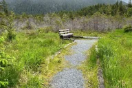 Sitka Tongass National Forest Hike thumbnail 4