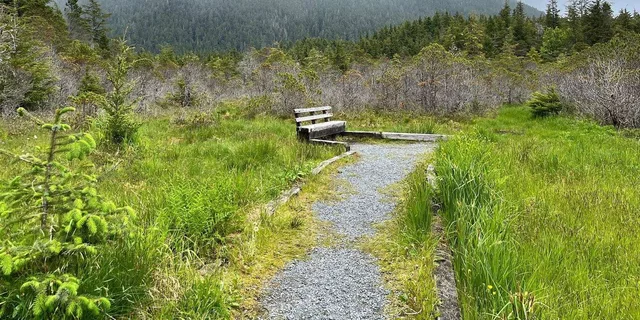 Sitka Tongass National Forest Hike - Image 4
