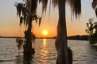 Winter Haven Pontoon Lake Tour thumbnail 2