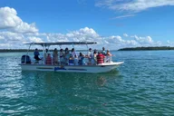 Marco Island Dolphin Sightseeing Tour thumbnail 4