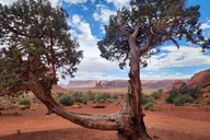 Monument Valley Scenic Drive & Audio Tour Bundle thumbnail 6