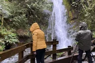Port Angeles Olympic National Park Half-Day Tour thumbnail 2