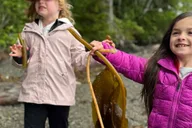 Ketchikan Private Tour: Rainforest and Wildlife thumbnail 4