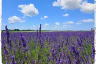 New York Farm and Outlet Shopping Tour thumbnail 4