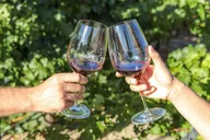 Paso Robles Wine Tasting Flight thumbnail 4