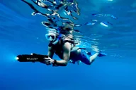 Maui Sea Scooter Snorkeling Tour at Turtle Town thumbnail 2