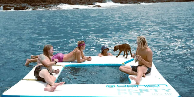 Kona Dolphin Watch Snorkel and BBQ Tour - Image 3