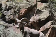 Taos Rio Grande Float Trip thumbnail 3