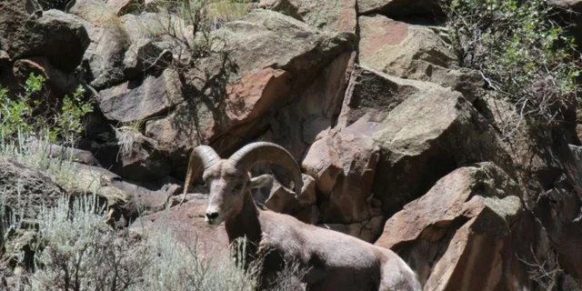 Taos Rio Grande Float Trip - Image 3