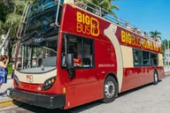 Miami Open-Top Bus Tour and Biscayne Bay Cruise thumbnail 2