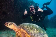 Oahu Deep Dive with Shipwreck and Reef thumbnail 5