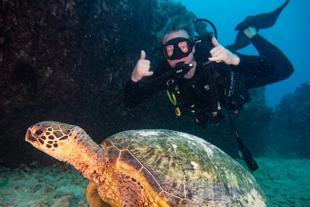 Oahu Deep Dive with Shipwreck and Reef - Image 5