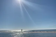 Anna Maria Island Sandbar Tour thumbnail 6