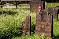 New York City African American History Tour thumbnail 1