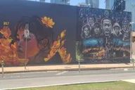 Austin Art Mural Bicycle Tour thumbnail 4