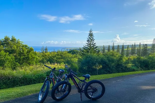 Maui Electric Bike Rentals - Image 6