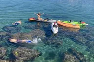 Redondo Beach Kayak Tour with Sea Lions thumbnail 1