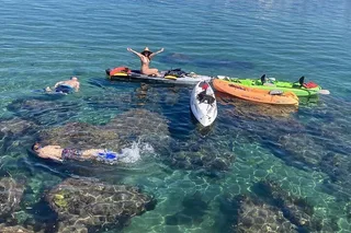 Redondo Beach Kayak Tour with Sea Lions