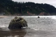 Oregon Coast Scenic Loop Day Trip thumbnail 3