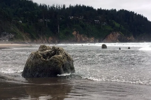 Oregon Coast Scenic Loop Day Trip - Image 3