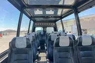 Yellowstone Open Air Glass Top Van Tour with Lunch thumbnail 3