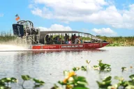 Fort Lauderdale Everglades Airboat Tour thumbnail 1